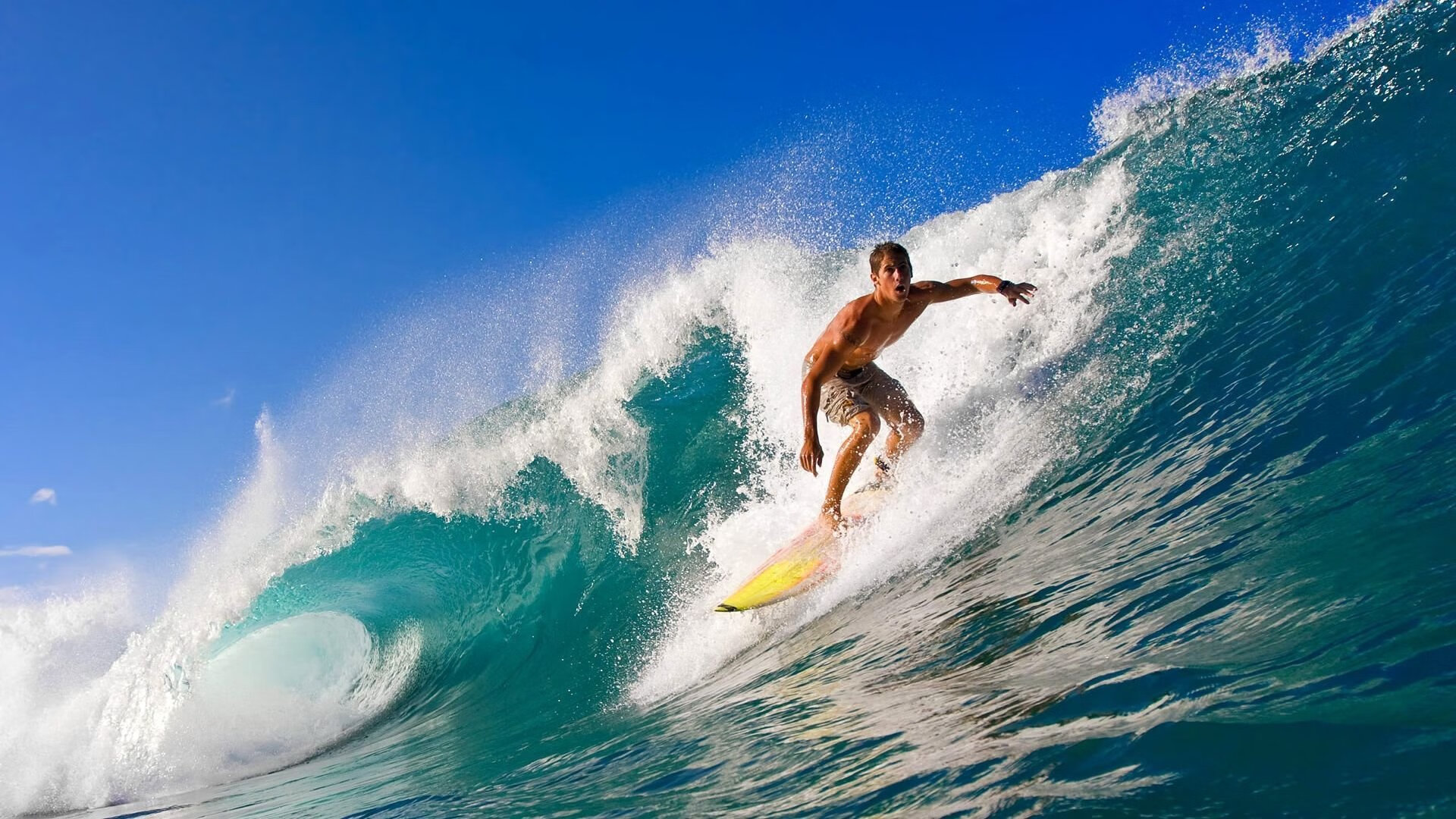 跨越赛场的统治力，从浙江队击败深圳队到詹姆斯总决赛的接管艺术